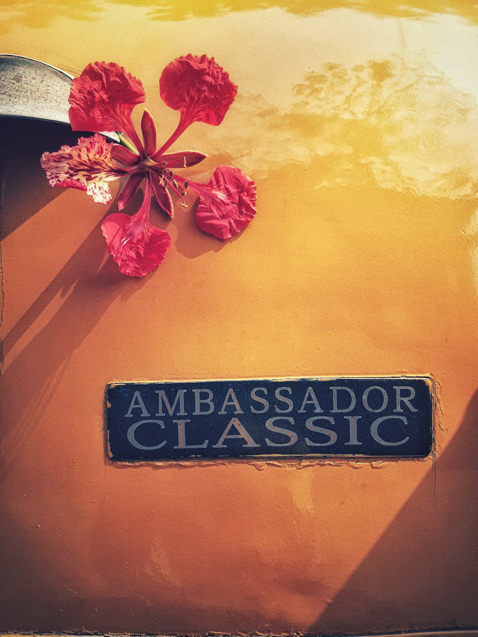 How much are we at&nbsp;fault?