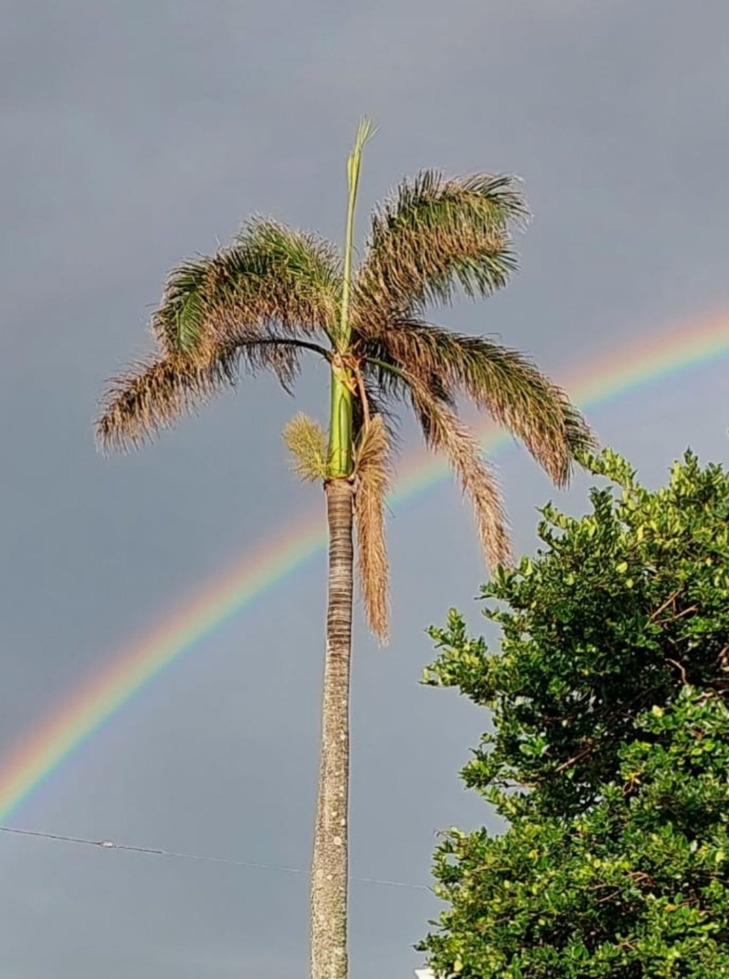 Do you see His&nbsp;signs?