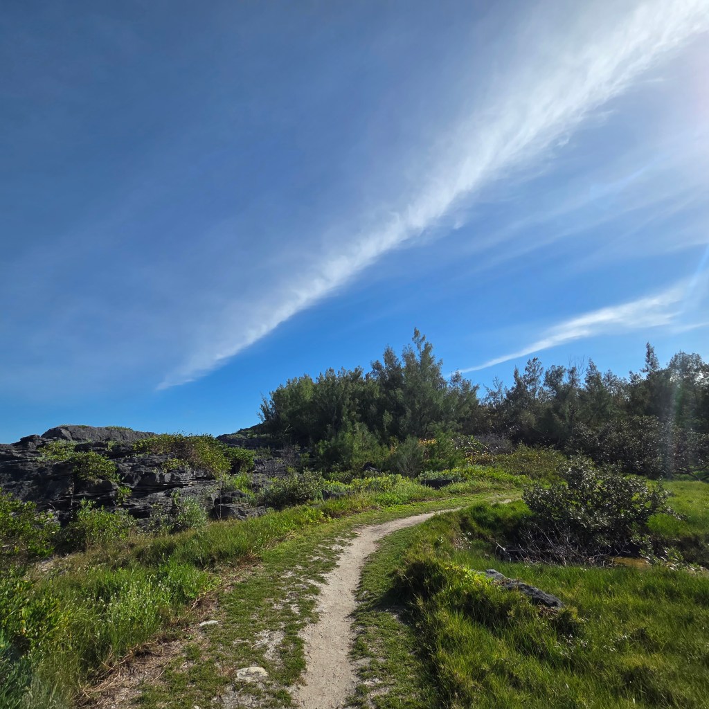 Are you carefully considering your&nbsp;path?